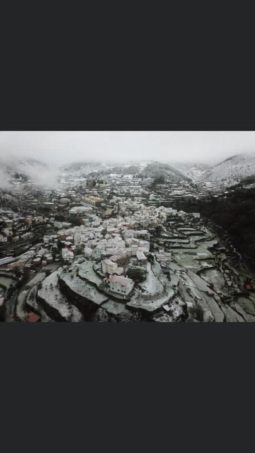 Casa Da Carvalha - Loriga 빌라 외부 사진